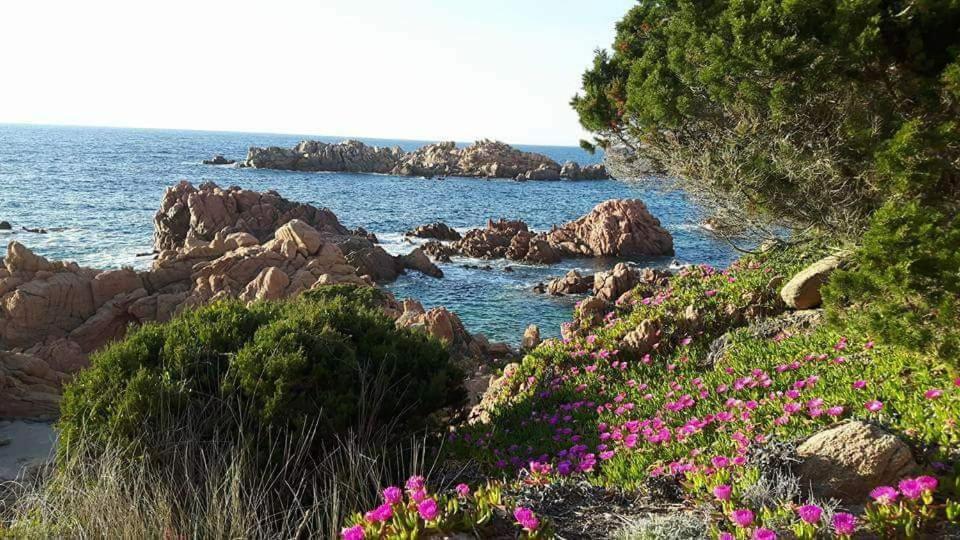 Casa Vacanze Villa Sandrina Costa Paradiso Εξωτερικό φωτογραφία