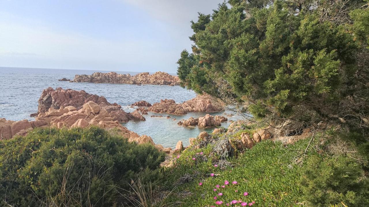 Casa Vacanze Villa Sandrina Costa Paradiso Εξωτερικό φωτογραφία